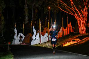 BIB: 
                            <button type="button" onclick="openModal(22510558)" class="btn btn-primary btn-sm float-right btn-popup" data-toggle="modal" data-target=".modal-high-quality">
                        <i class="fas fa-shopping-cart"></i> Add to Cart
                    </button>
                                            <button type="button" onclick="isThisMe(22510558, true)" class="btn btn-success btn-sm float-right btn-popup btn-isme hidden" data-toggle="tooltip" data-placement="bottom" title="นี่คือรูปของคุณใช่ไหม คลิกที่นี่เพื่อเอาเข้าอัลบั้ม">
                        <i class="fas fa-plus"></i> Add to album
                    </button>
                    <button type="button" onclick="isThisMe(22510558, false)" class="btn btn-warning btn-sm float-right btn-popup btn-isnotme hidden">
                        <i class="fas fa-ban"></i> Remove from album
                    </button>